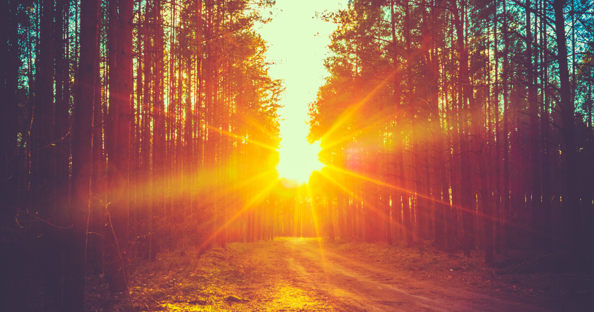 Fall Sunset