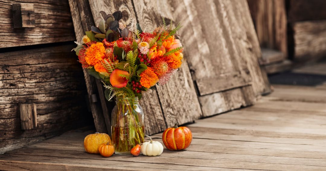 Marigold Facts