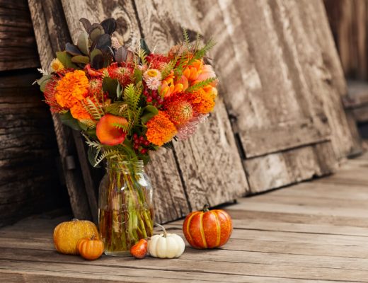 Marigold Facts