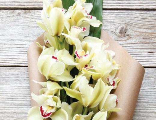 Orchid Cut Flower Care