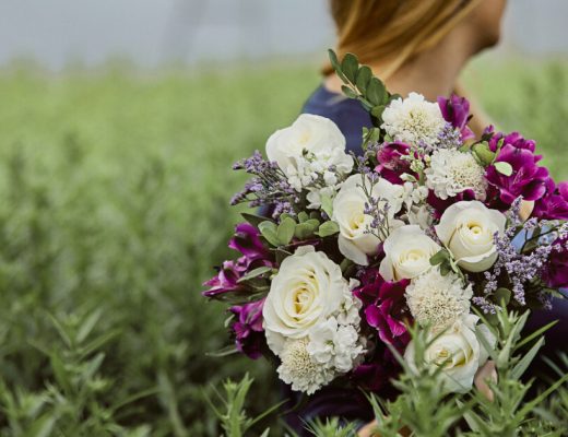 Seasonal Fresh Cut Flowers