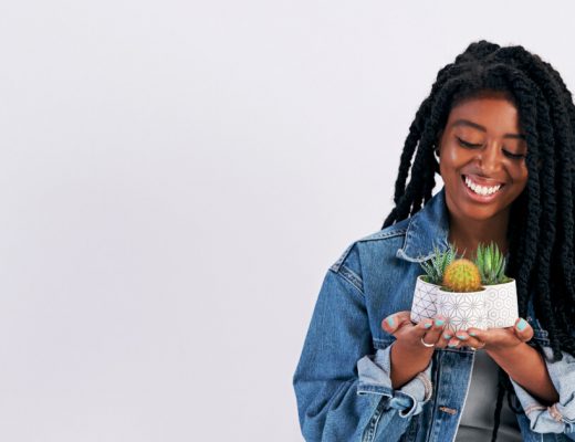 Watering Succulents Indoors