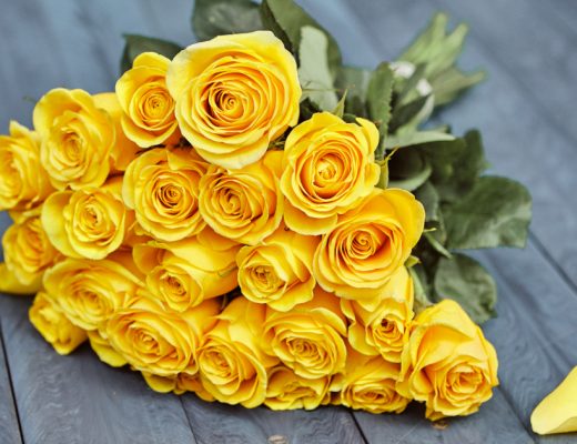 A Bouquet of Yellow Rose Meaning Friendship