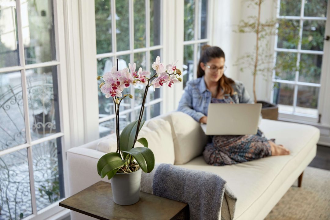 Mom celebrating mother's day virtually with flowers and laptop
