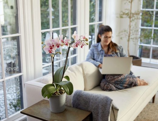 Mom celebrating mother's day virtually with flowers and laptop