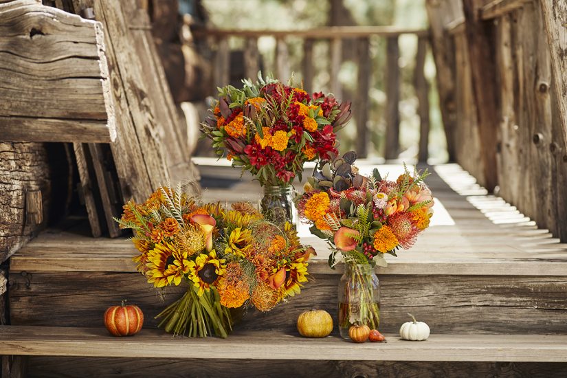 Autumnal Equinox Facts Marigold Group Persimmon Bonfire PumpkinPatch