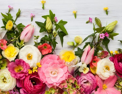 Yellow, pink, white, and purple assorted flowers