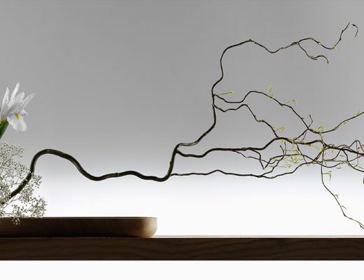 white flowers with a long, cascading branches