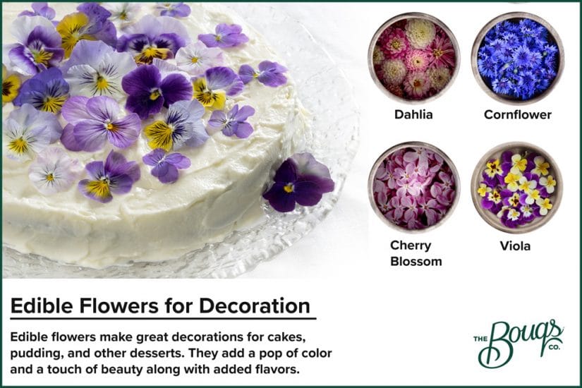 Edible flowers to decorate dishes: dahlia, cornflower, cherry blossoms, viola