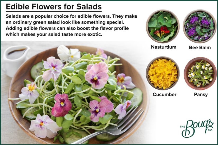 Flowers to use in salads: bee balm, pansy, cucumber, nasturtium