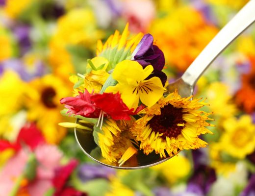 Various edible flowers on a spoon.
