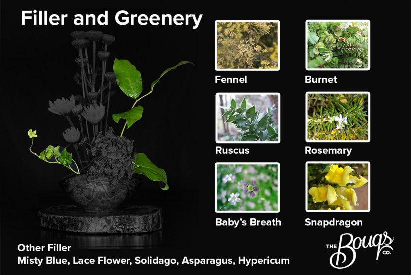 Suggest filler for ikebana: fennel, burnet, ruscus, rosemary, baby's breath snapdragon