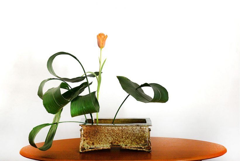 Arrangement with single yellow flower, twisting green leaves in a rustic basket