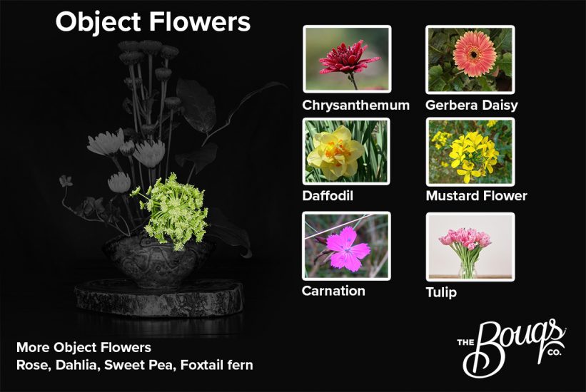 Suggested object flowers: chrysanthemum, gerbera daisy, daffodil, mustard flower, tulip, carnation