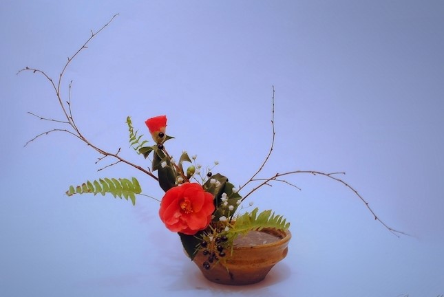Red flower ikebana in slanted style