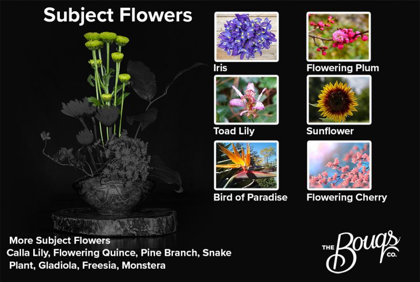 Suggested subject flowers: Iris, flowering plum, flowering cherry, sunflower, bird of paradise, toad lily