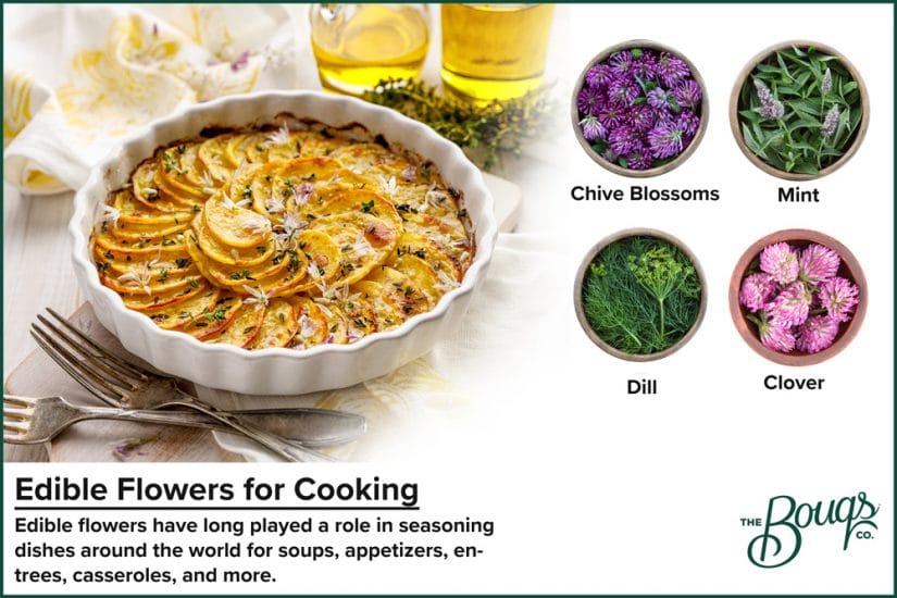 Flowers to cook with: mint, clover, dill, chive blossoms