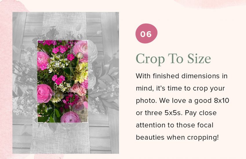 Step six for taking flower photos is cropping an image to make select the best image