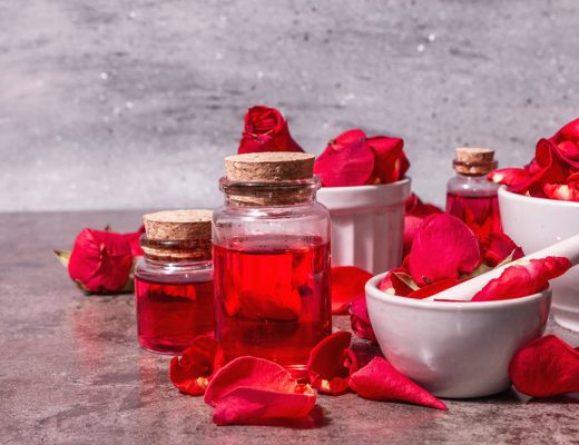 Red rose petals on a table with stuff to make rose water.