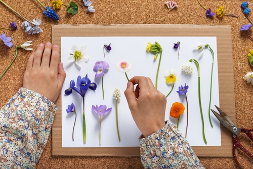 Arranging different pressed flowers on a card.
