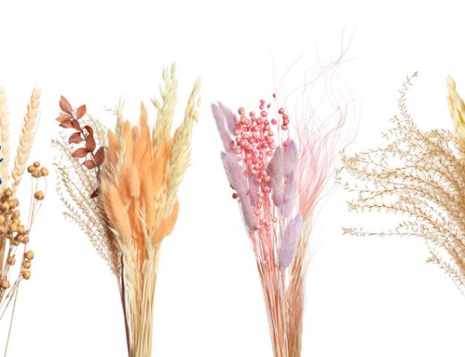 Selection of dried flowers in yellow, blue, lavender, and white