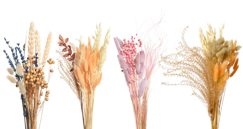 Selection of dried flowers in yellow, blue, lavender, and white
