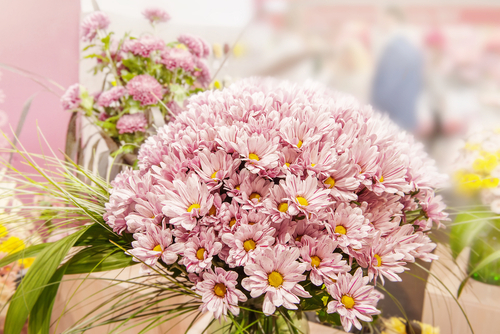 Bouquet,Of,Pink,Chrysanthemums