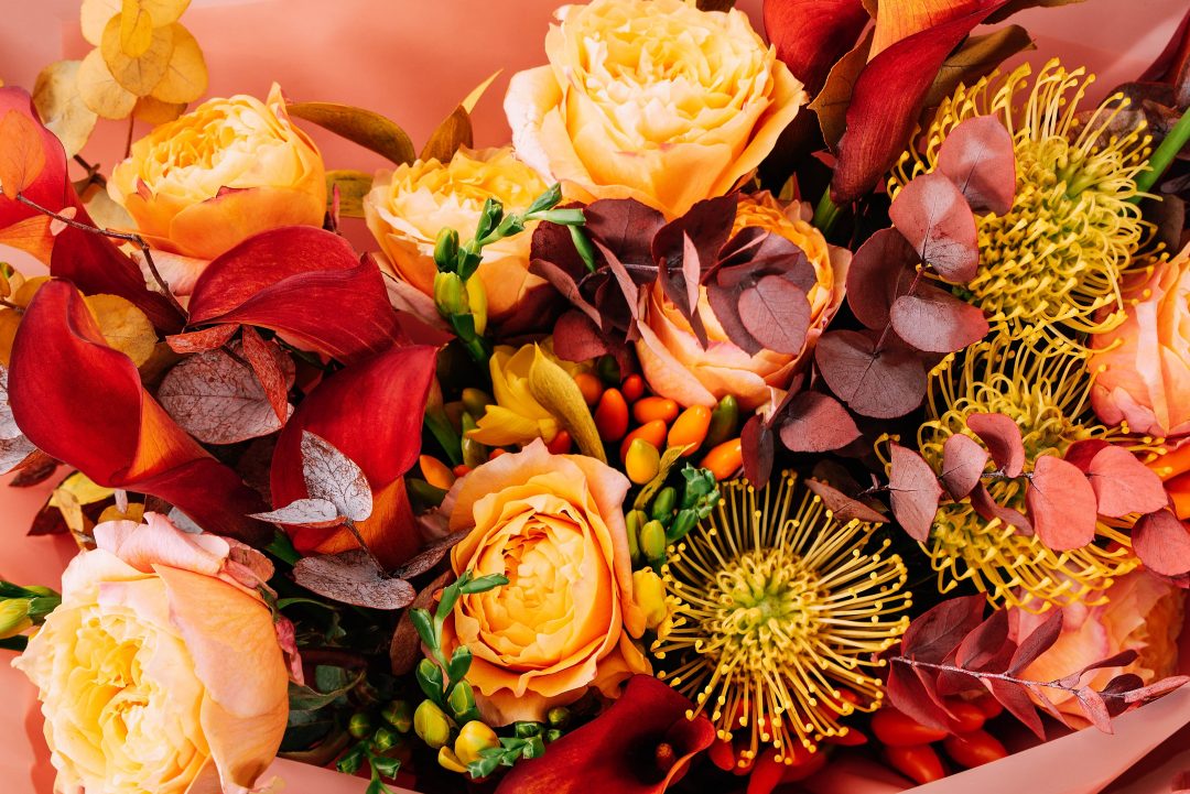 Collection of fall-colored flowers