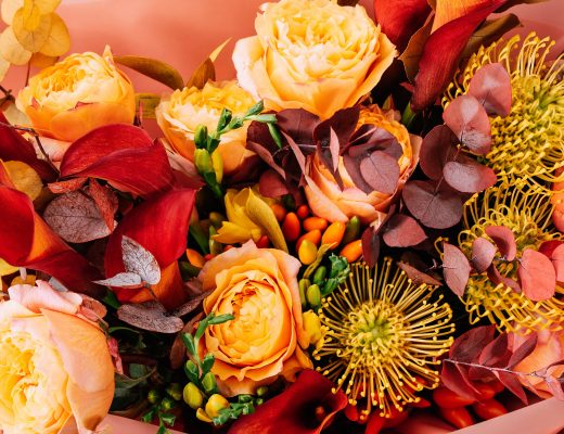 Collection of fall-colored flowers