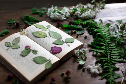 floral mix of fresh cutted, pressed and dried spring flowers and leafs all decorated in rustic style on dark wood background