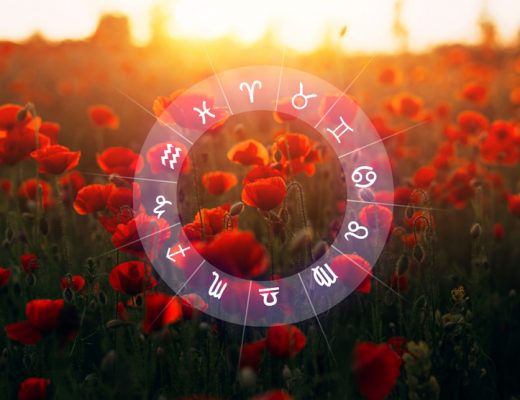 Zodiac symbol and red flower fields.