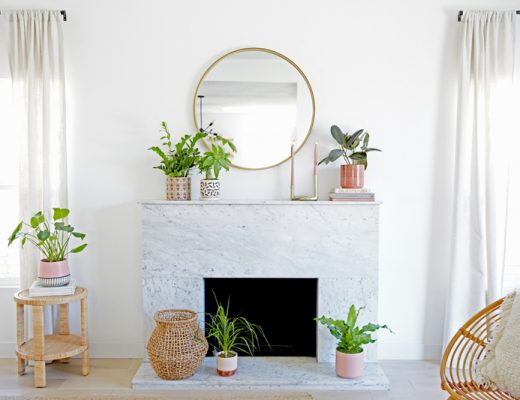 Six plants displayed around a fireplace and on tables