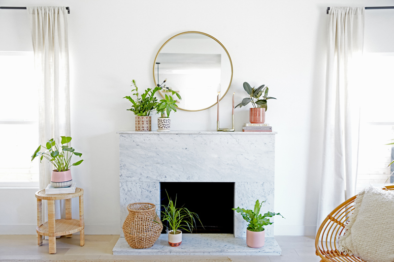 Six plants displayed around a fireplace and on tables