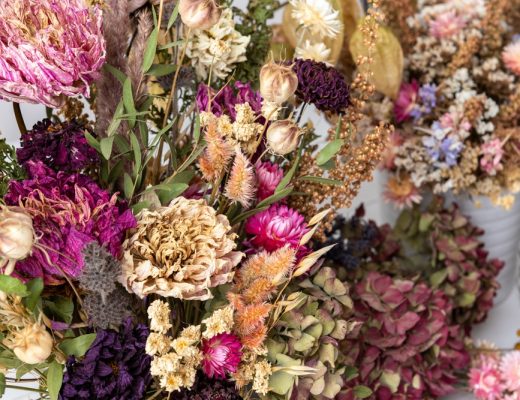 Collection of dried flowers