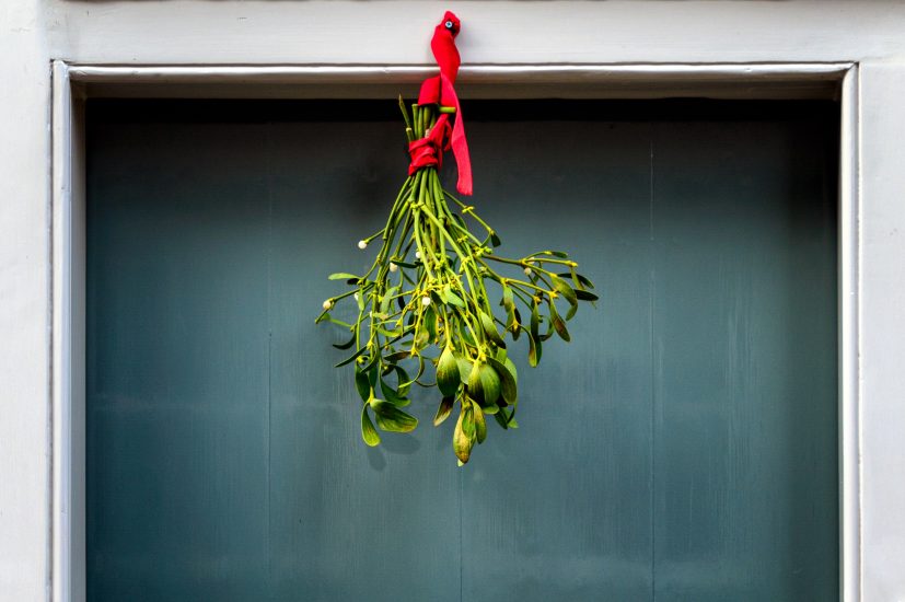 Mistletoe branch hanging above doorway