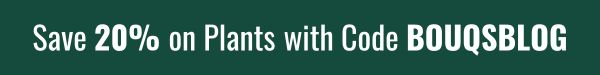 Save 20% on Plants with Code BOUQSBLOG