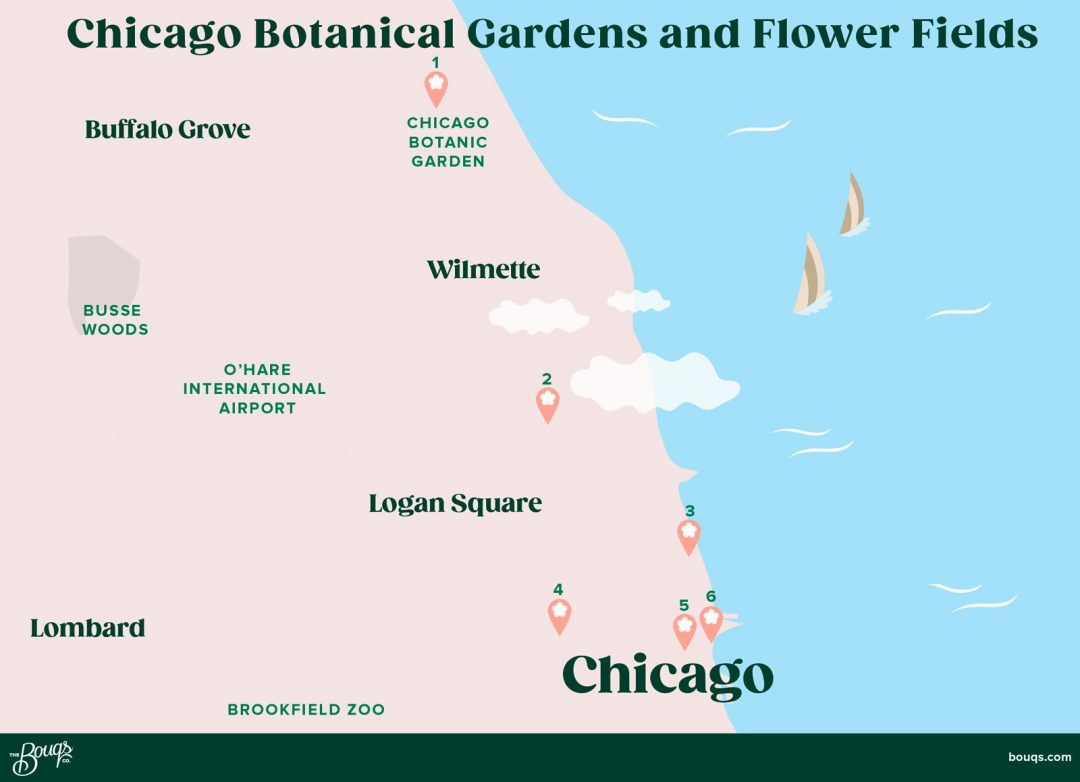 map of Chicago botanical gardens