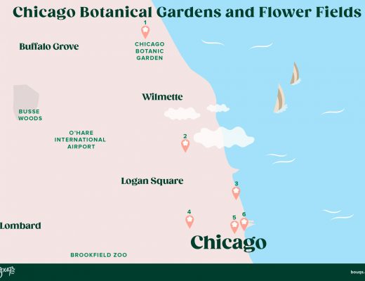 map of Chicago botanical gardens