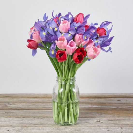 purple, pink and red tulips and irises in a mason jar
