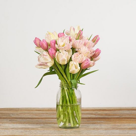 white and pink tulips in a mason jar