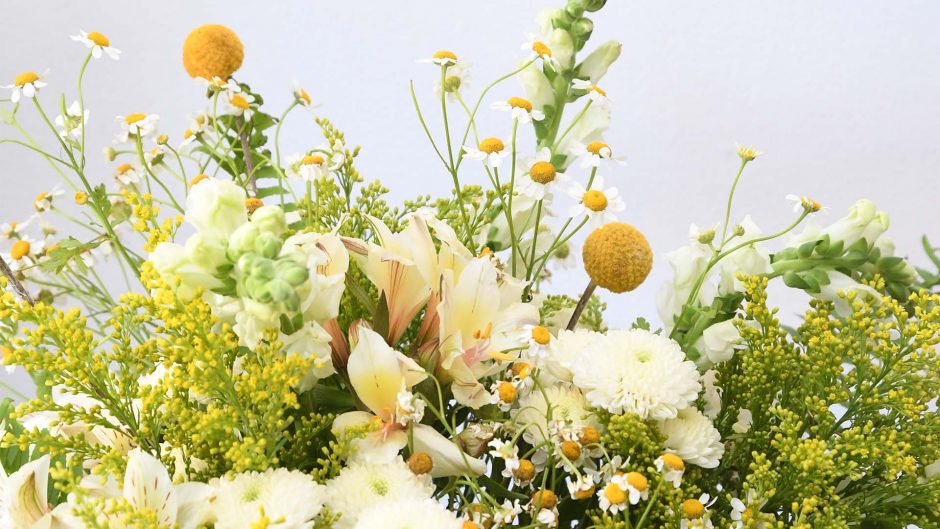close up white and yellow flowers
