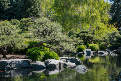 denver botanical gardens