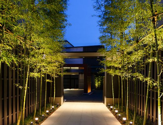 bamboo on walkway in front of home