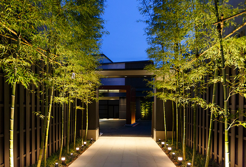 bamboo on walkway in front of home