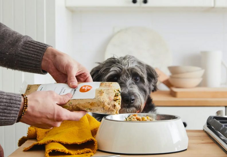 hands feeding fresh dog food to dog