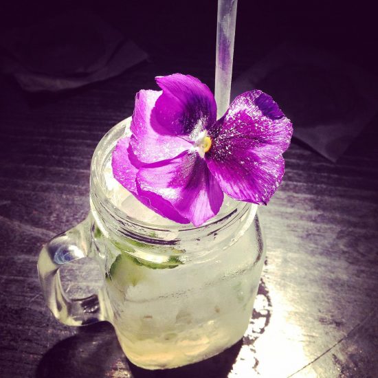 clear liquid in a mason jar glass with a straw and a purple flower sitting on top