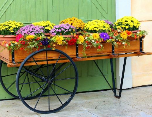 two-wheeled wooden wagon filled with a variety of flowers