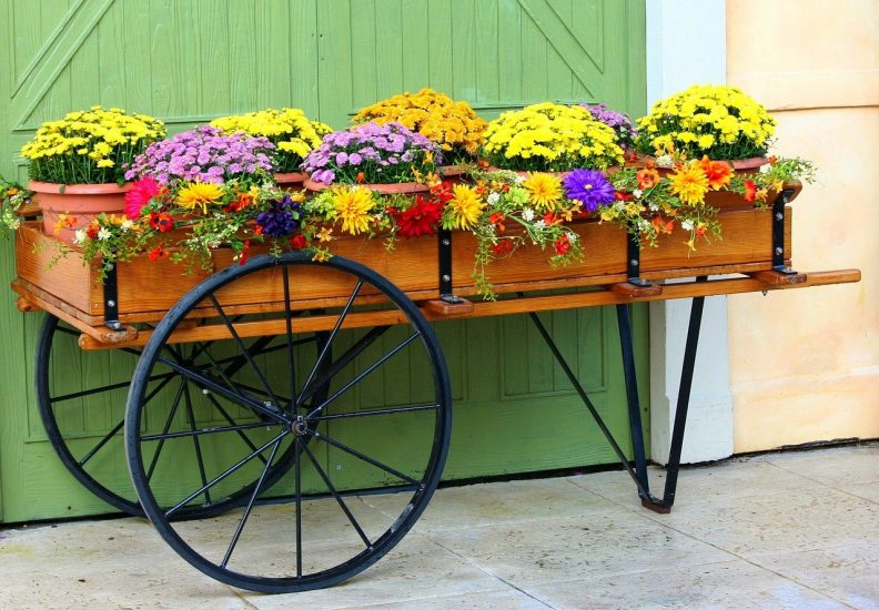 two-wheeled wooden wagon filled with a variety of flowers