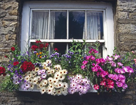 Colorful flowers in a window box outside a white window in a grey stone building