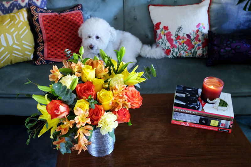 Fluffy white dog laying on a blue sofa looking at a colorful flower bouquet on a coffee table